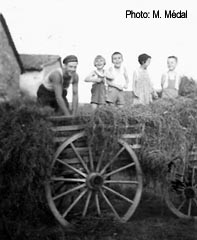 Charge de foin chez Bérard