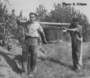 Les porteurs de bennes