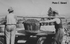 C. Bérard et J. Sauzay porteurs