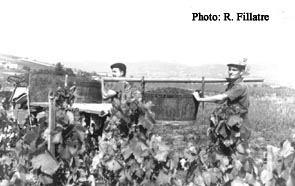 M. Mathon et S. Chevalier porteurs