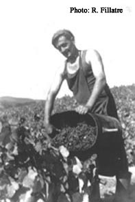 André Desmures fait ses bennes