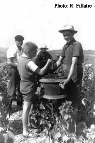 G. Corban vide son panier