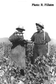 Le patron et la bonbonne