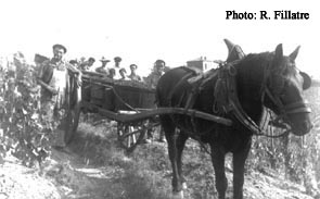 Le cheval sur le chemin du retour