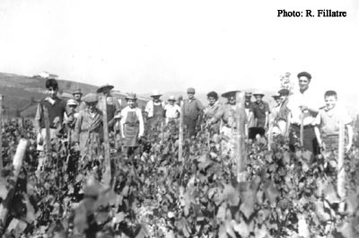Groupe de vendangeurs
