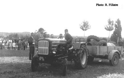 Photo3 comice agricole